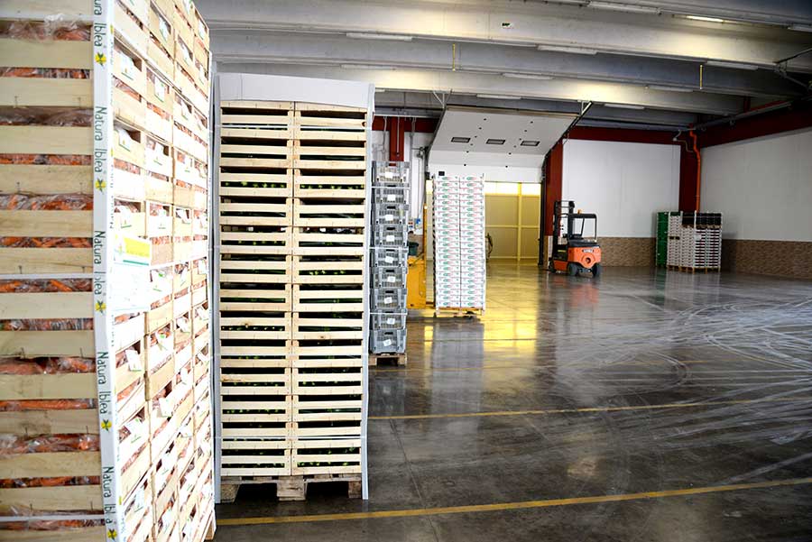 eurotirservice-trasporti-a-temperatura-controllata-logistica-internazionali-11
