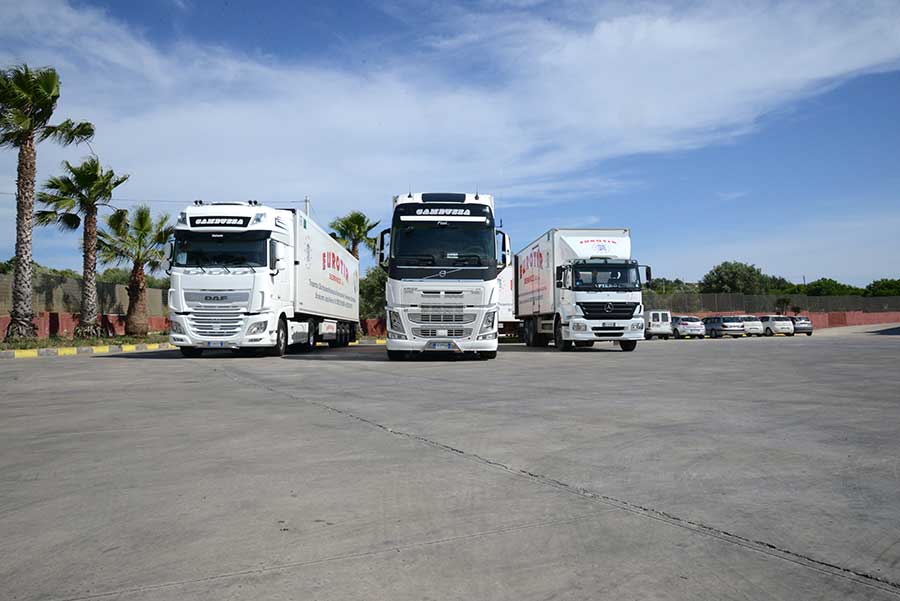 eurotirservice-trasporti-a-temperatura-controllata-logistica-internazionali-16