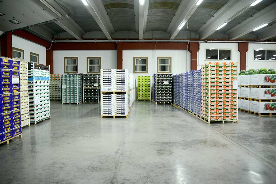 eurotirservice-trasporti-a-temperatura-controllata-logistica-internazionali-17