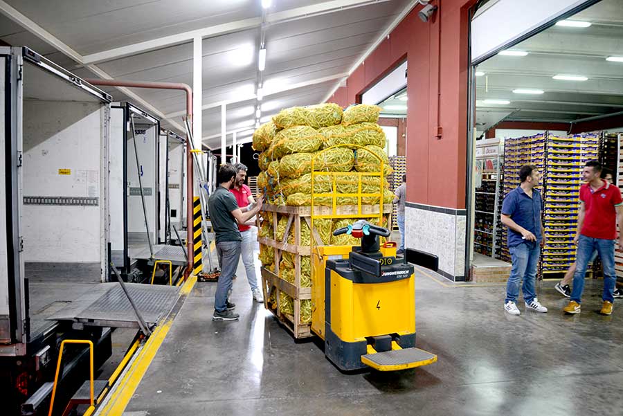 eurotirservice-trasporti-a-temperatura-controllata-logistica-internazionali-18