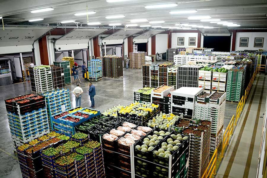 eurotirservice-trasporti-a-temperatura-controllata-logistica-internazionali-19