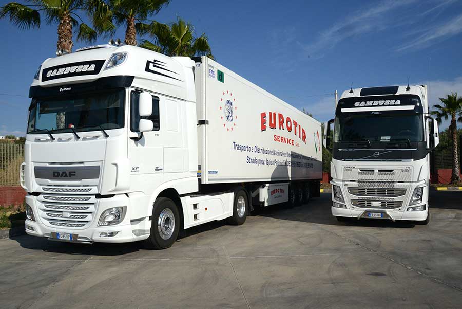eurotirservice-trasporti-a-temperatura-controllata-logistica-internazionali-2