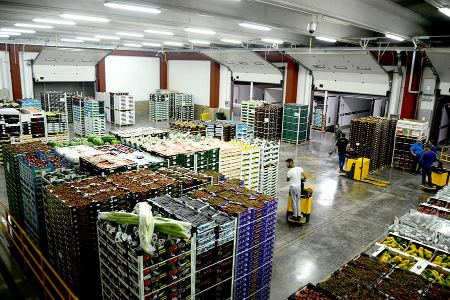 eurotirservice-trasporti-a-temperatura-controllata-logistica-internazionali-21