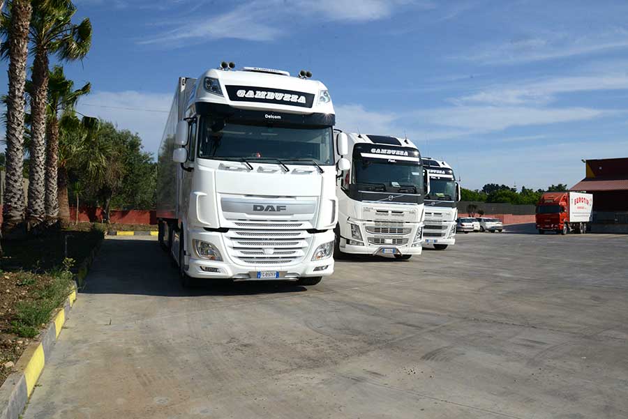 eurotirservice-trasporti-a-temperatura-controllata-logistica-internazionali-3