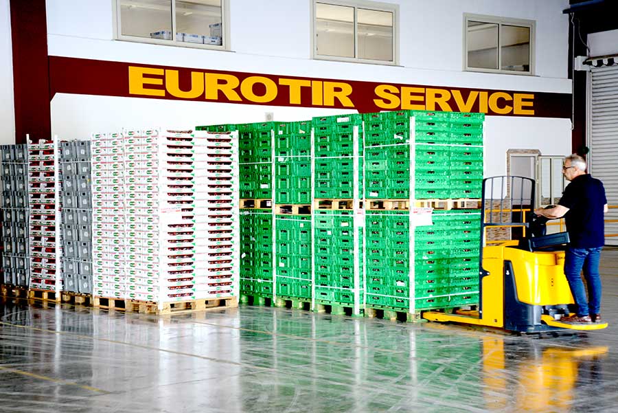 eurotirservice-trasporti-a-temperatura-controllata-logistica-internazionali-9